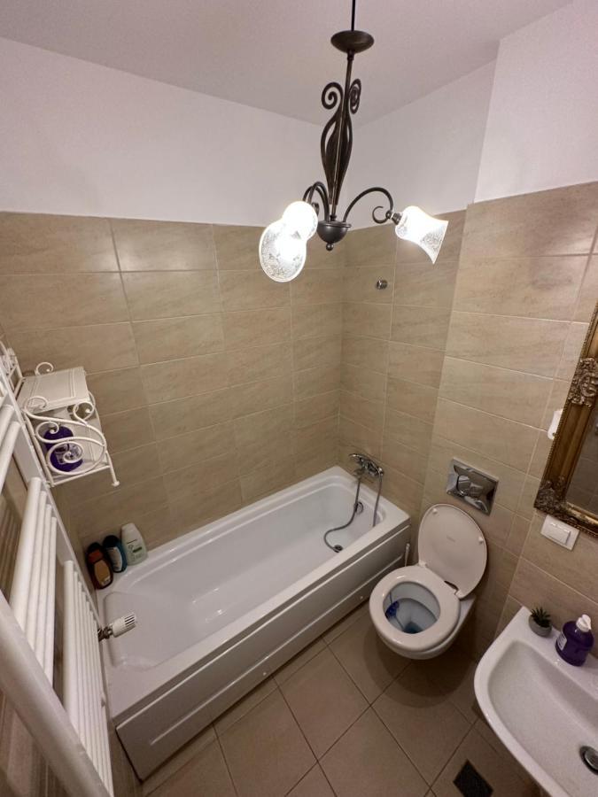 Mihai Bravu Apartment 布加勒斯特 外观 照片